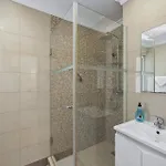 Canas By